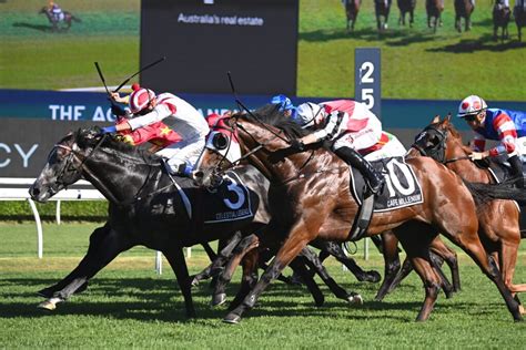Randwick Guineas 2025 Field, Tips, Odds, Betting, Results.